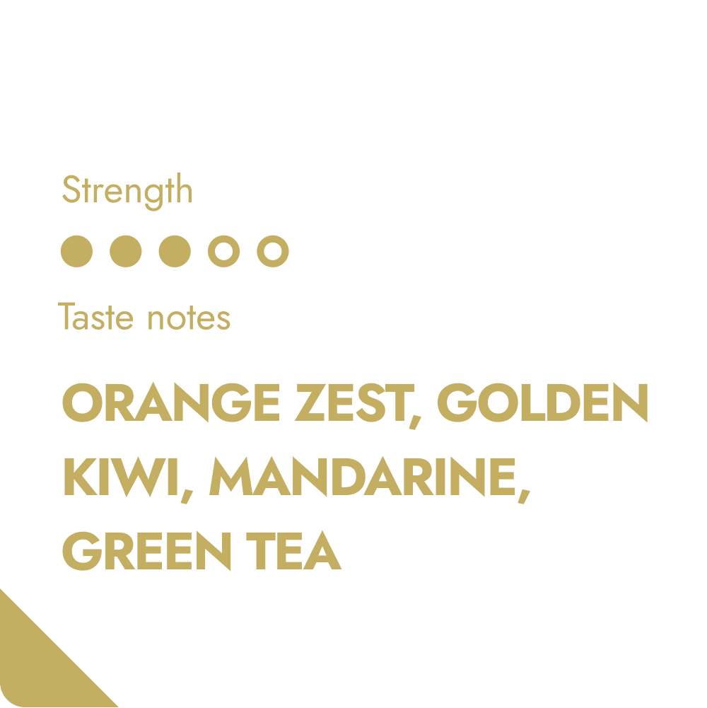 Kaffeebohnen aus Ruanda | RWANDA SPECIALTY COFFEE BEANS